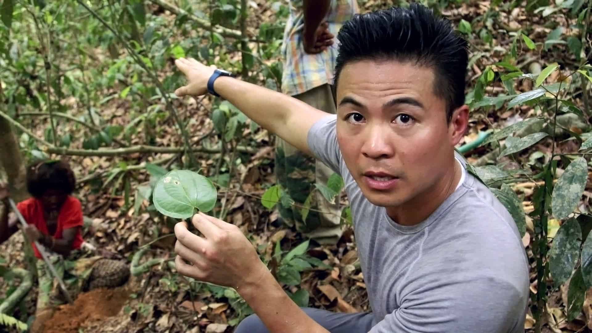 Viet redone Viet redone